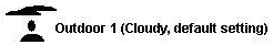 Outdoor Cloudy - Default Setting